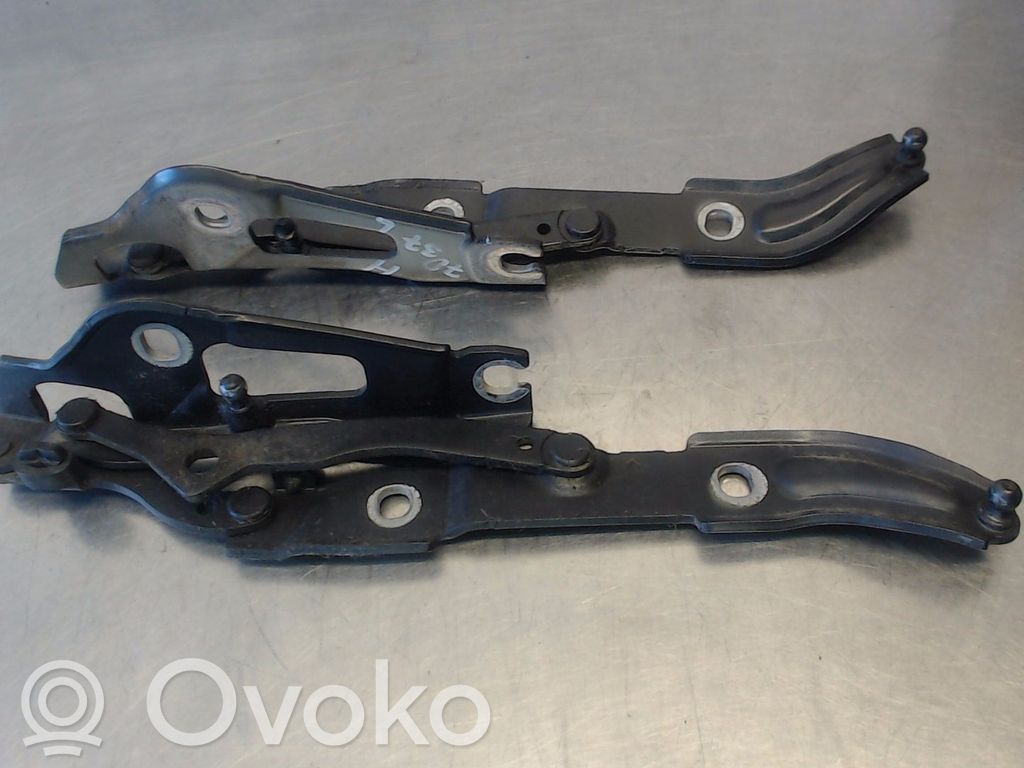 Tailgate/trunk/boot hinge   41627210675,41627133815
