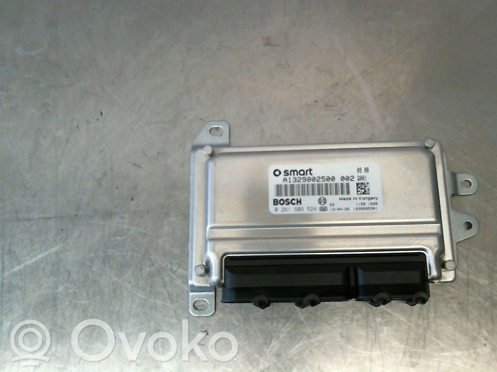 Engine control unit/module   1329002300