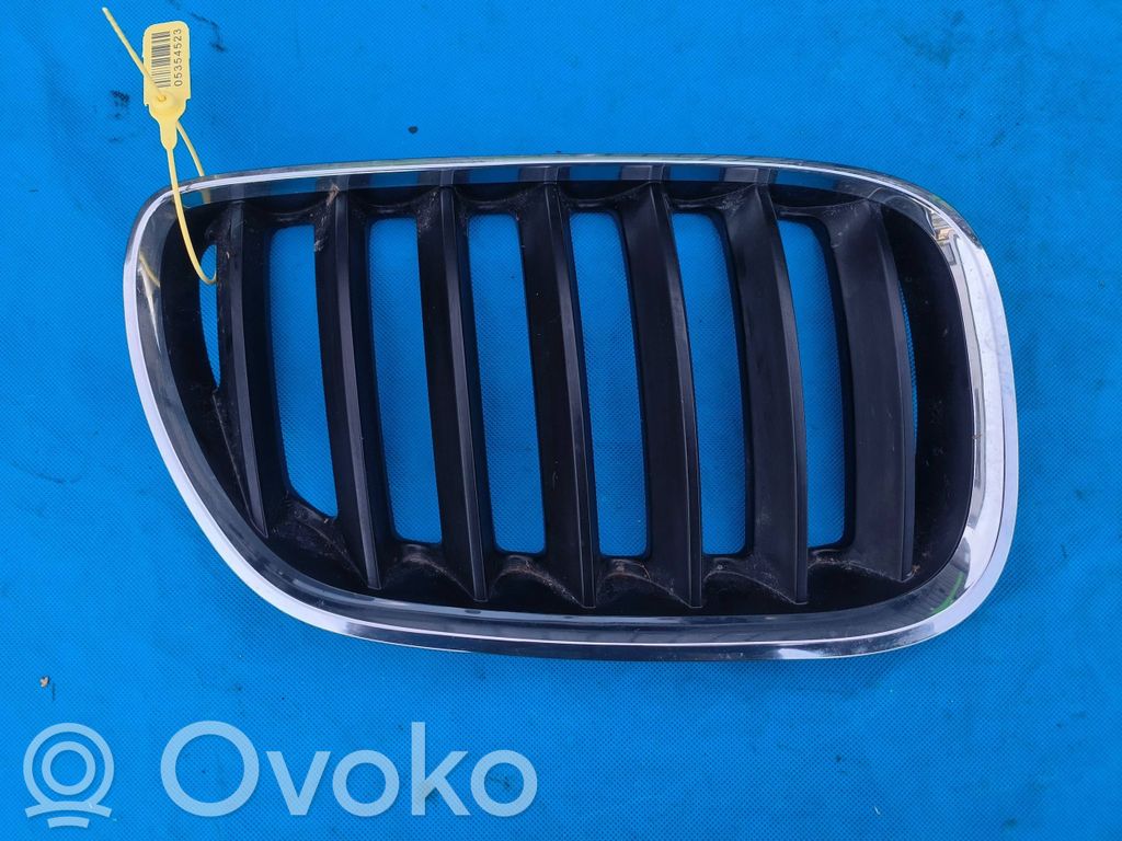 Front grill   7124816