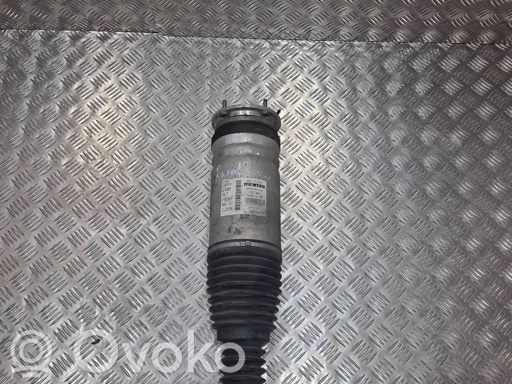 Land Rover Range Rover Evoque L538 Amortizor față 