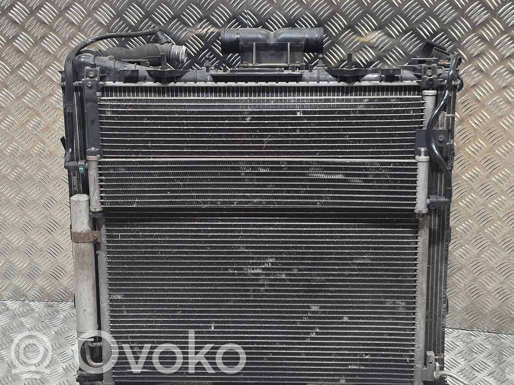 Land Rover Range Rover L405 Set radiatoare 