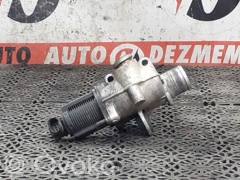 Renault Kangoo III Supapă EGR 
