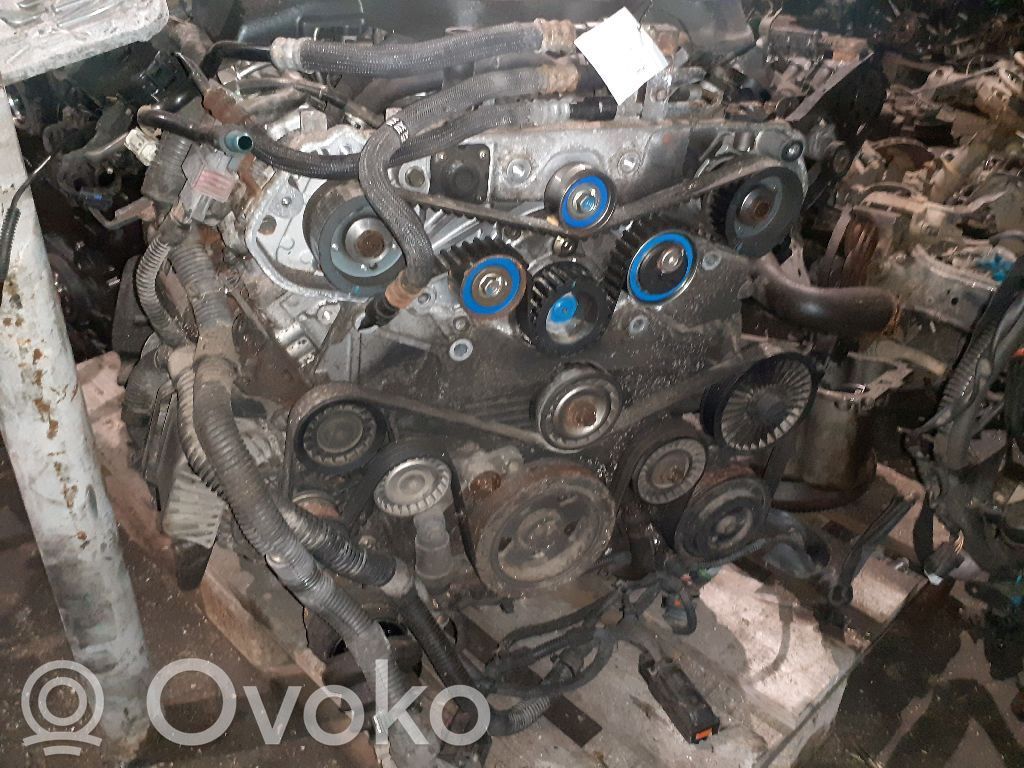 Engine   Y30DT