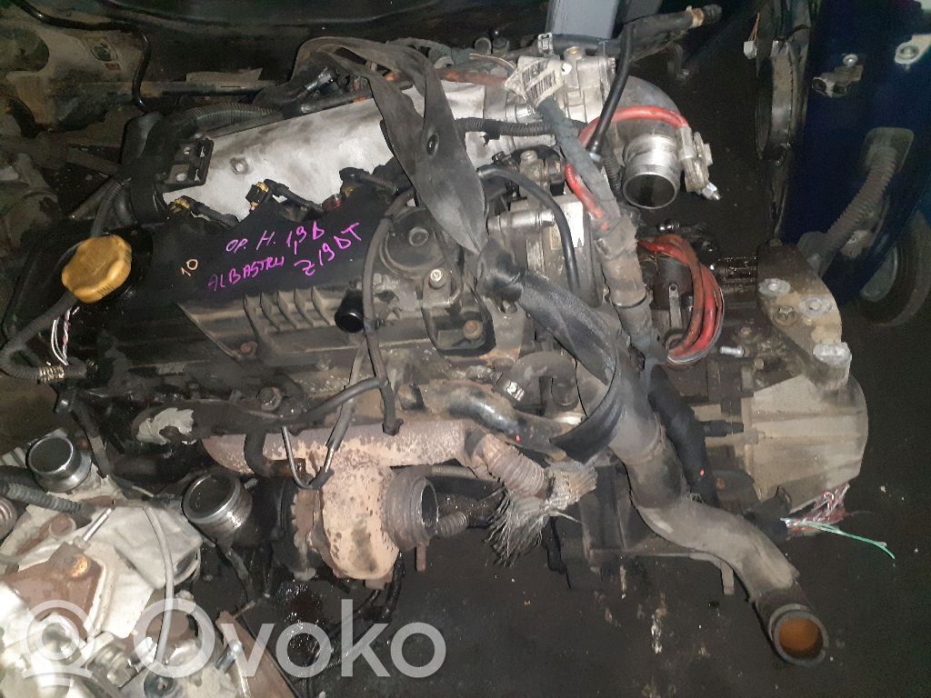 Motor   Z19DT