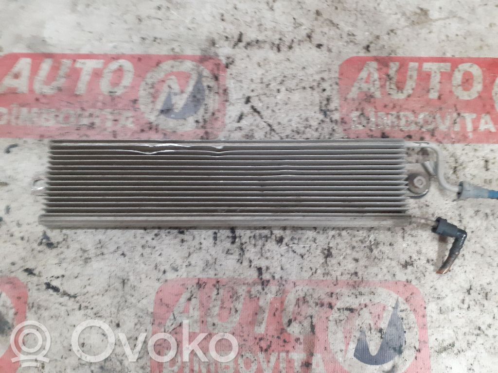 Volkswagen PASSAT B6 Välijäähdyttimen jäähdytin 