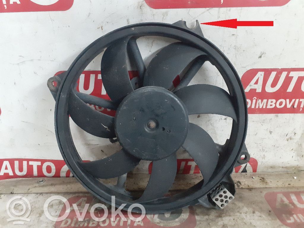 Elektryczny wentylator chłodnicy   214819402R,REN99853