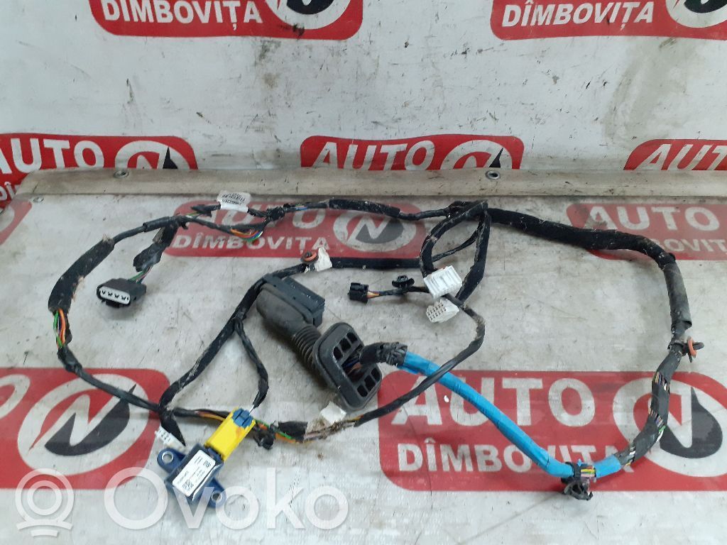 Wiązka przewodów drzwi przednich   91604C8891,C8891