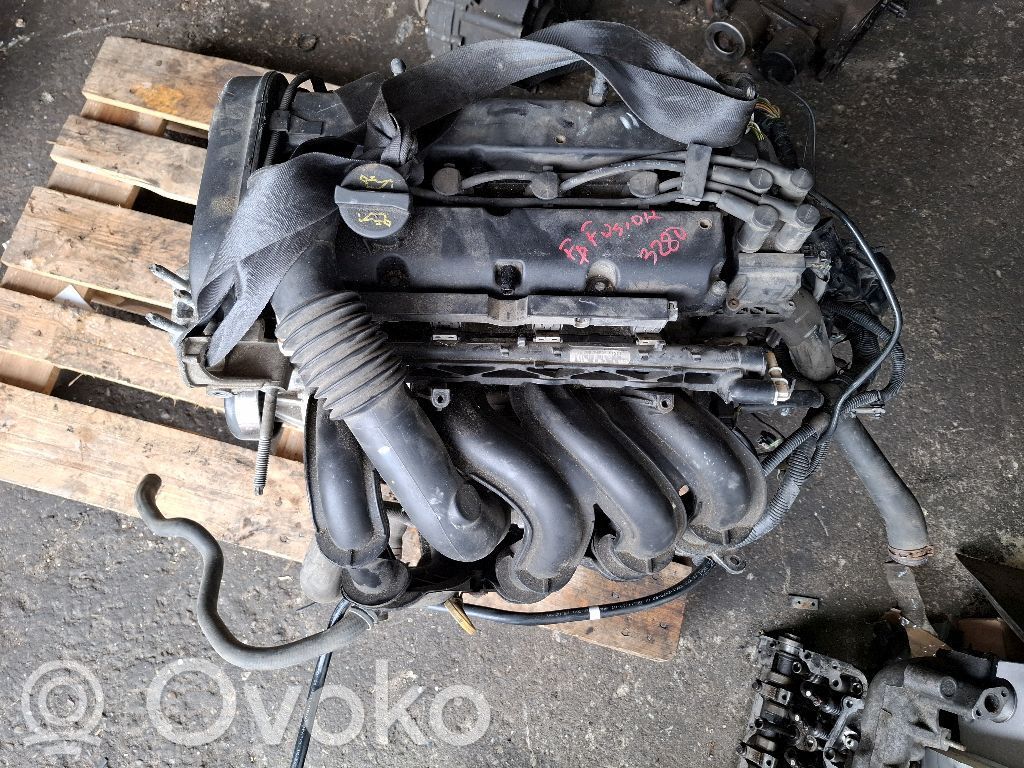 Ford Fusion Motor 