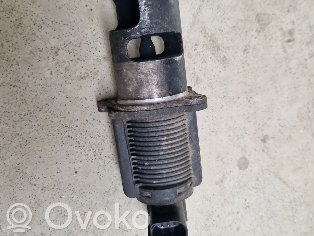 Dacia Logan I Supapă EGR 