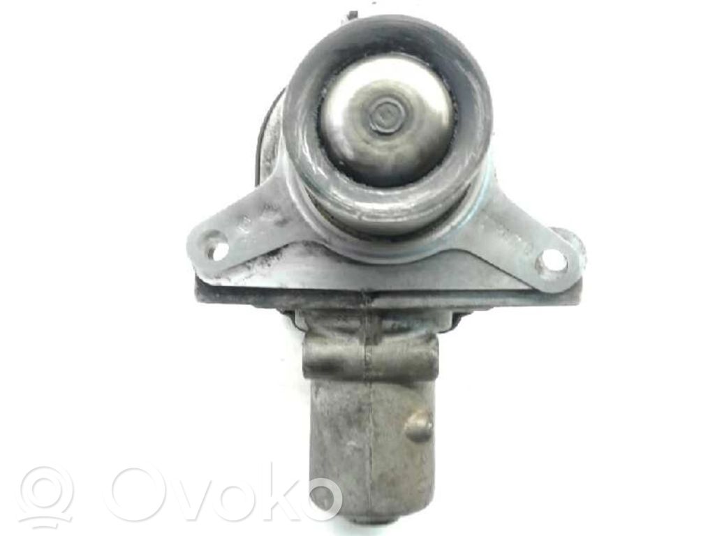 Válvula EGR   D501916000,H8200282949