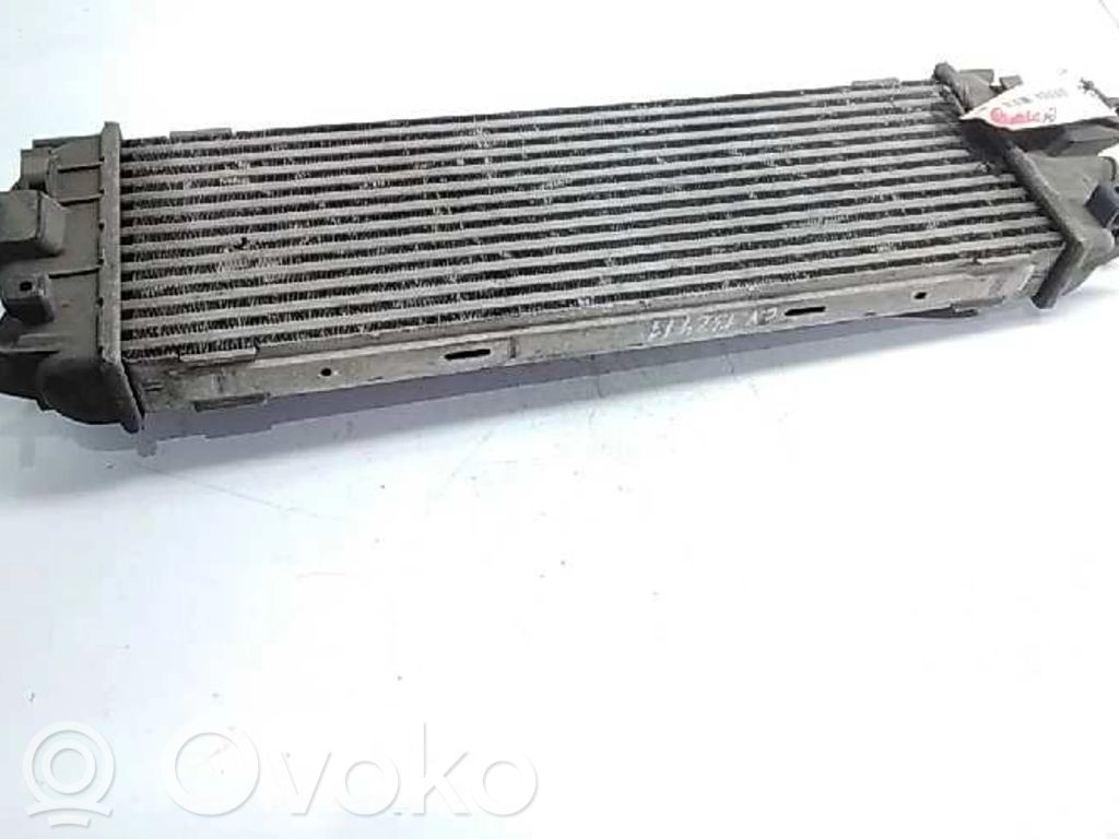 Radiador intercooler   820041160C