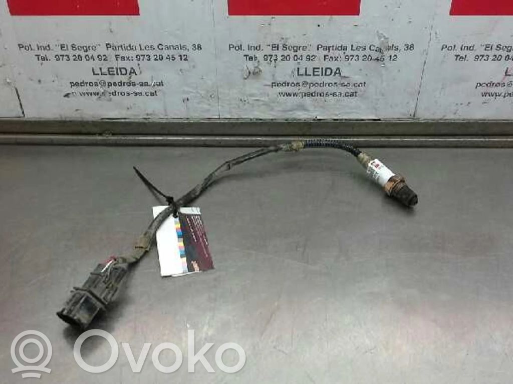 Sonde lambda
