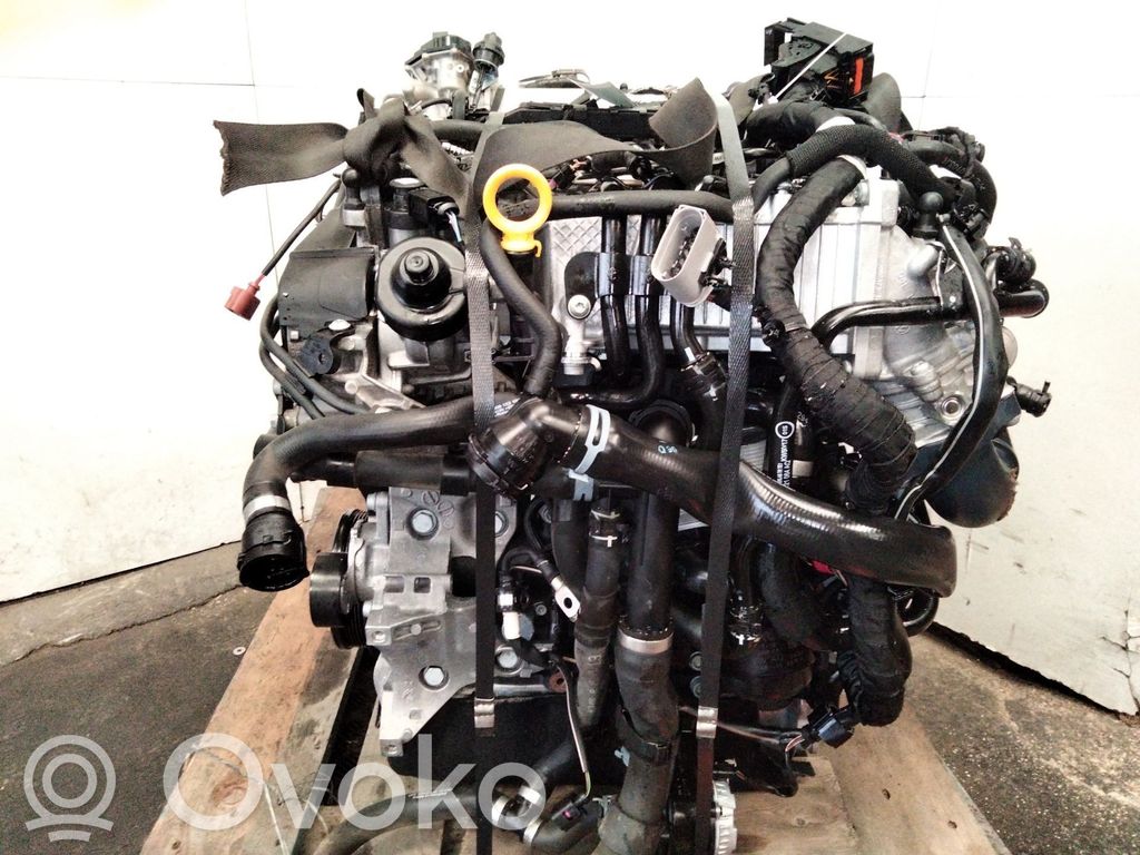 Motor   DFHA,04L100091H