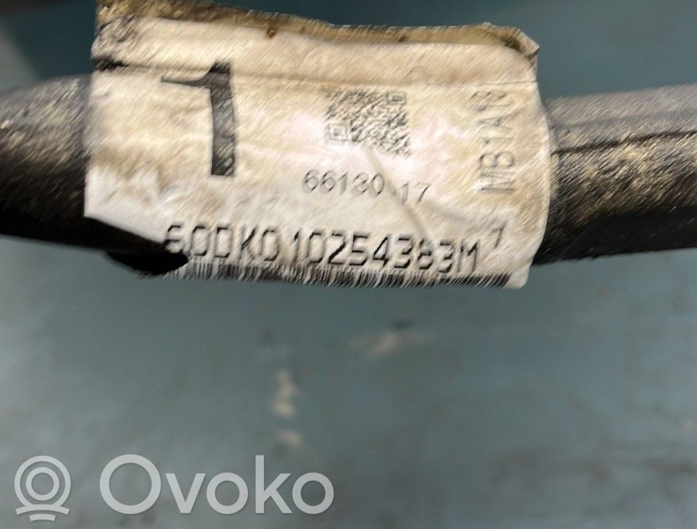 Hammastanko   0000400133
