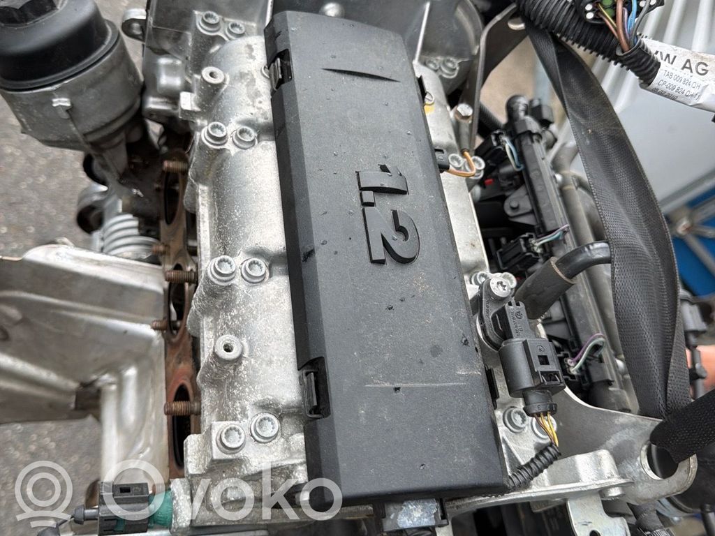 Seat Ibiza IV (6J,6P) Motor 