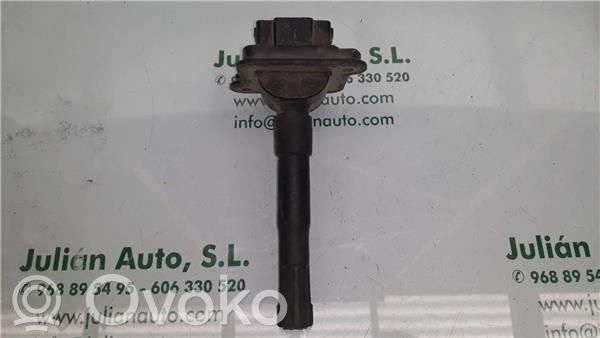 Zündspule Zündmodul   58905105,401000133PINES