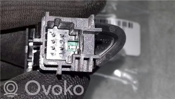 Botón interruptor de luz de peligro   252907372R,10026629