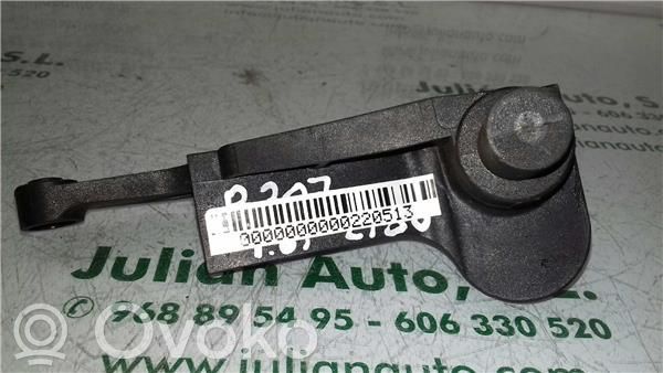 Peugeot 307 Detonation knock sensor 