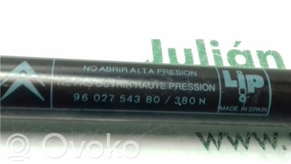 Citroen ZX Tailgate/trunk/boot lid buffer 