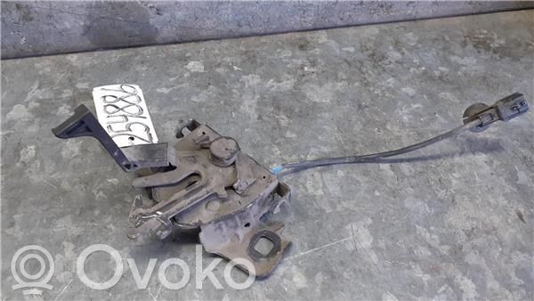 Tie down hook / loop   656013486R,16013