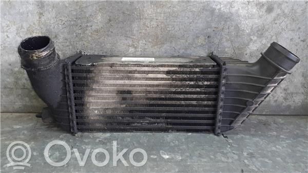 Citroen Jumpy Ladeluftkühler 