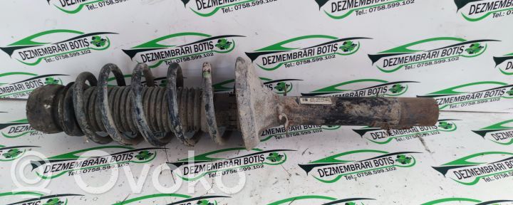 Front coil spring