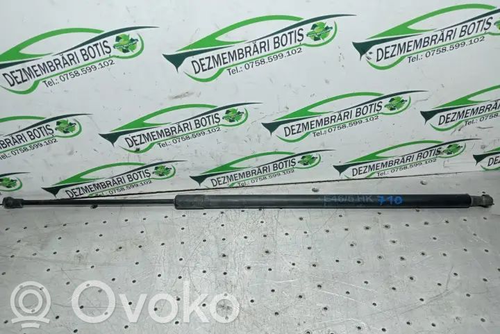 Tailgate/trunk strut/damper   F5S5K4XP