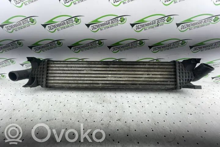Interkūlerio radiatorius   3M5H9L440AE,NKBCH9XZ
