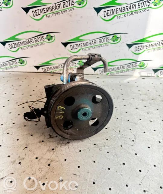 Power steering pump   ZZQIAZ5C