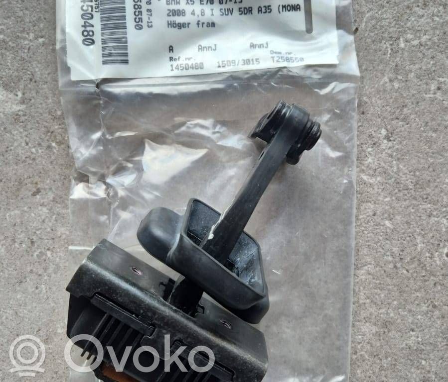 BMW X5 E70 Etuoven pidätin 