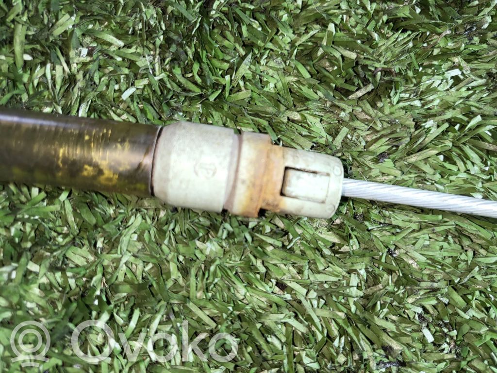 Sankabos trosas