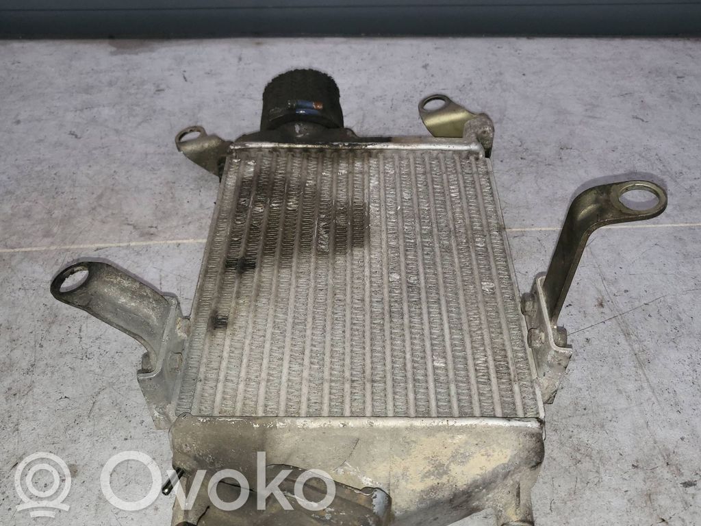 Opel Monterey Interkūlerio radiatorius 
