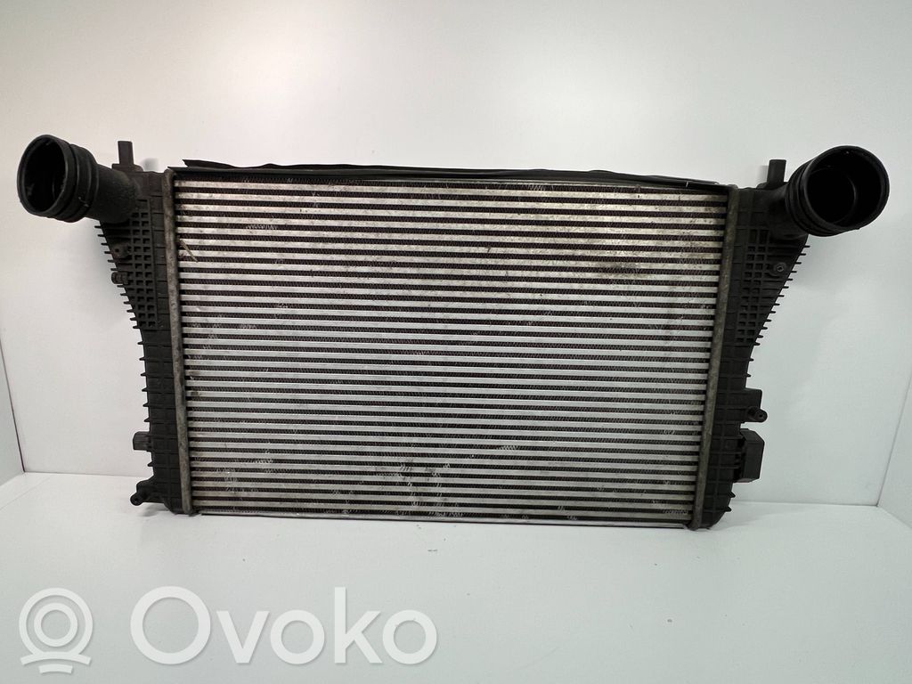 Skoda Octavia Mk2 (1Z) Ladeluftkühler 