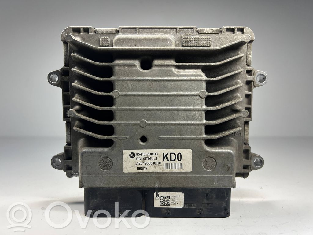 Engine control unit/module ECU   954402DKD0,A2C1963640101