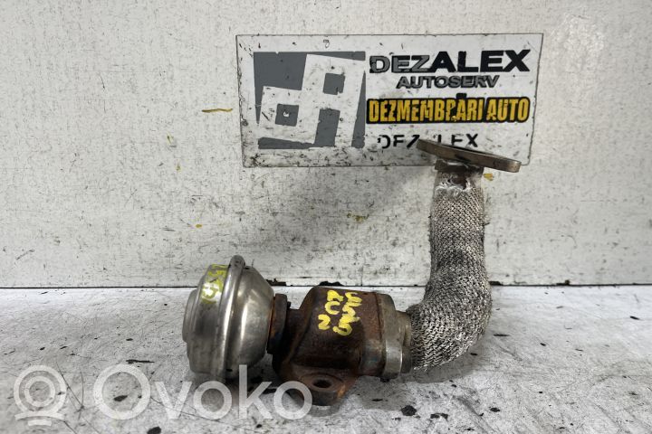 Válvula EGR   72167505