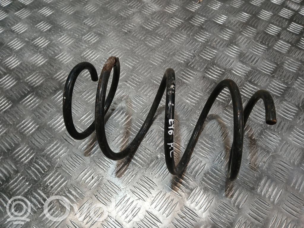 Front coil spring