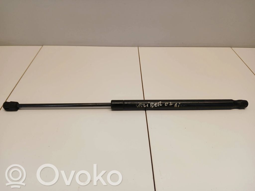 Tailgate/trunk strut/damper