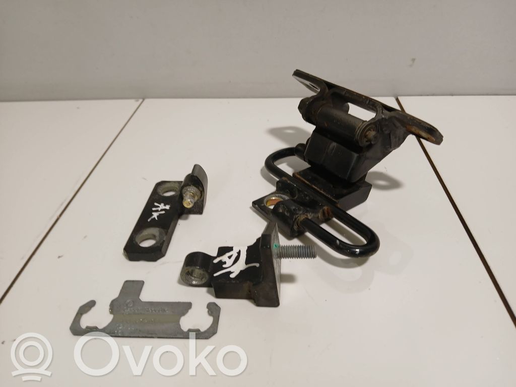 Volkswagen Phaeton Zawiasy drzwi tylnych / Komplet 