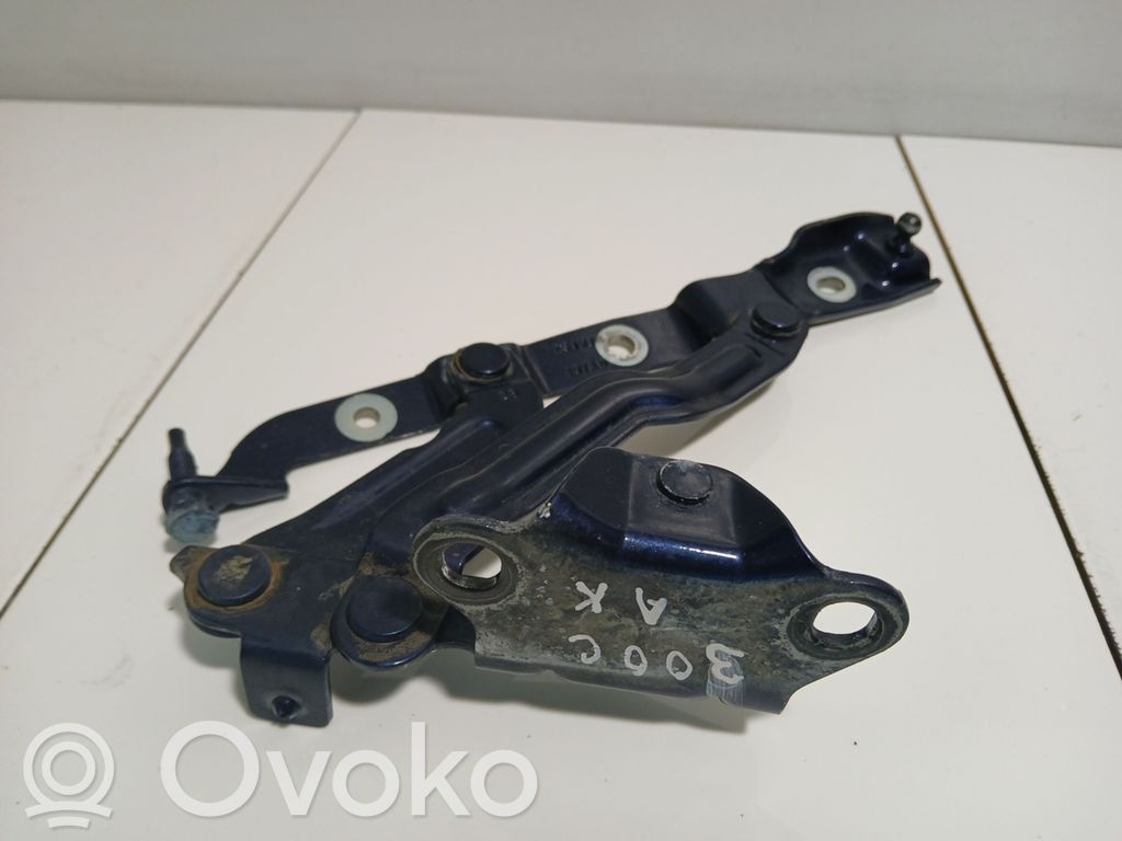 Tailgate/trunk/boot hinge   197AD,251WJ