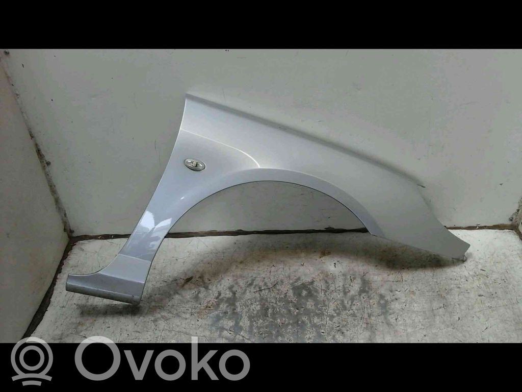 Peugeot 407 Lokasuoja 