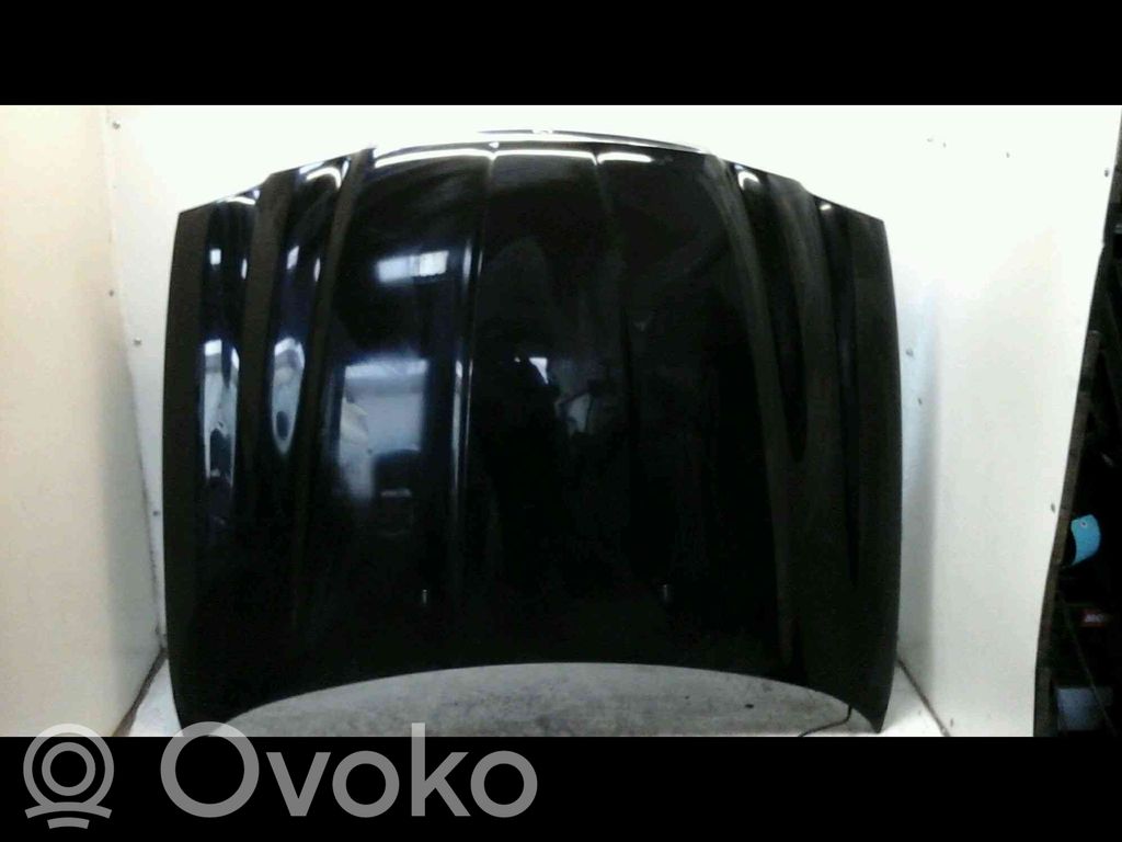 Dangtis variklio (kapotas)   20212403,3737026,VDMS7