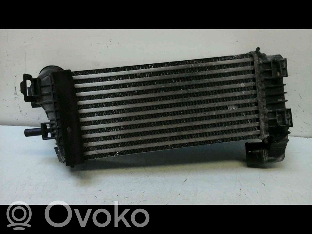Ford Focus Interkūlerio radiatorius 