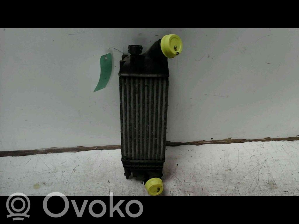 Citroen C5 Radiatore intercooler 