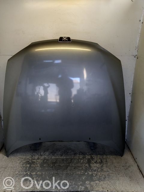 Peugeot 406 Engine bonnet/hood 