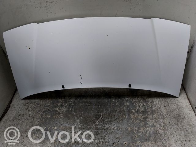 Dangtis variklio (kapotas)   00007901H2,20250686,6367827,VDMS7