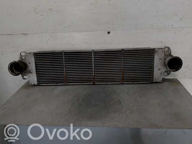 Volkswagen Multivan T5 Intercooler radiator 