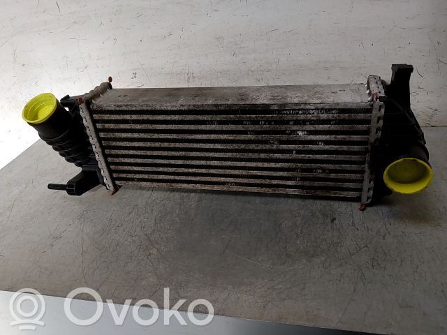 Renault Express Intercooler radiator 