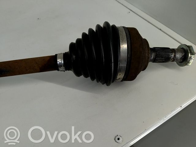 Priekinis pusašis   20251139,7487190,VDMS7