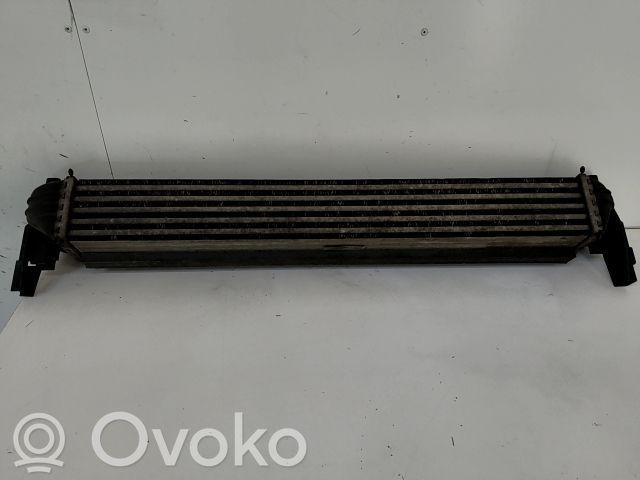 Intercooler radiator   6R0145805,11347138,20252067,VDMS7