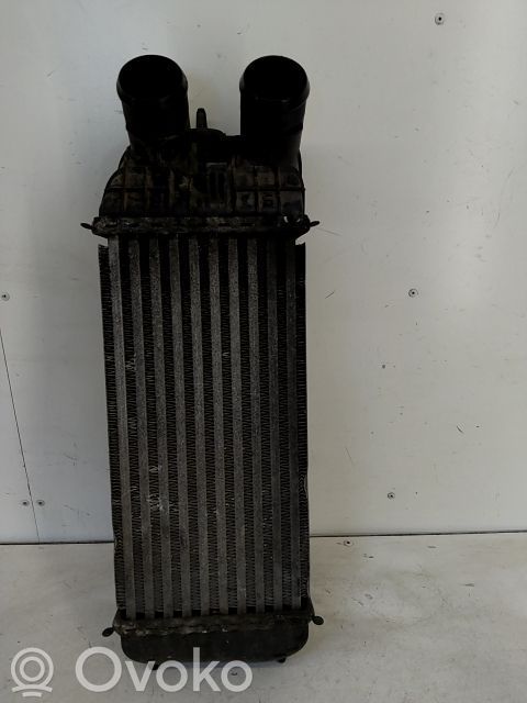 Peugeot 207 CC Starpdzesētāja radiators 